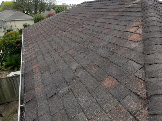 residential asphalt shingle